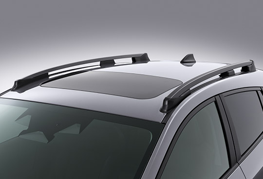 <sg-lang1>Roof Rails</sg-lang1><sg-lang2></sg-lang2><sg-lang3></sg-lang3>