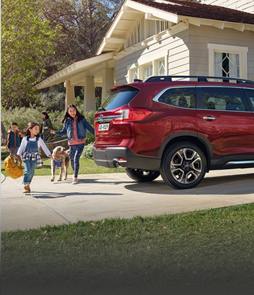 7-Seater Capability