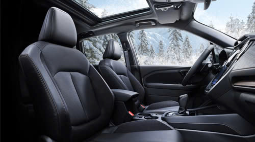 11.6” Infotainment Touchscreen