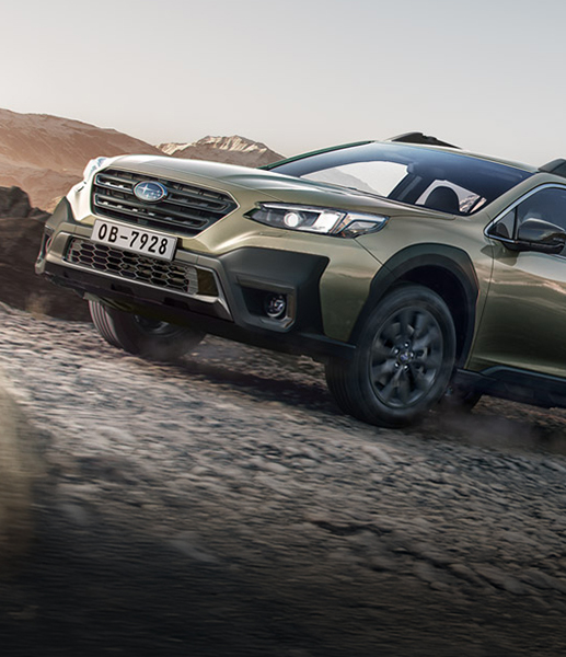 สมรรถนะ